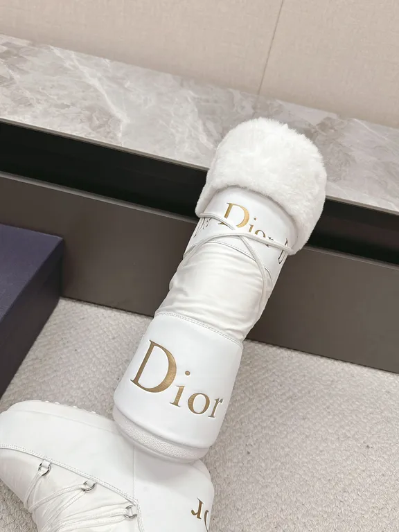 Dior Shoe 